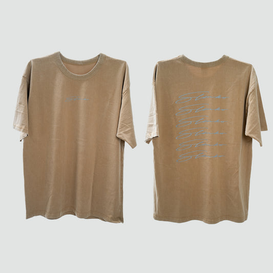 LOGO LADDER T